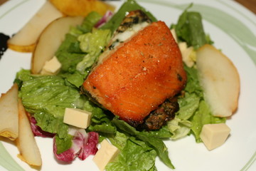 salmon