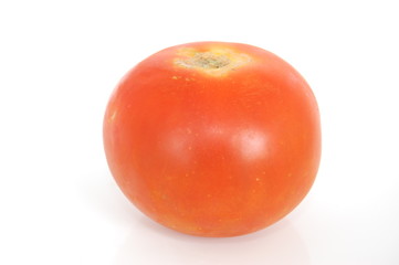 tomatoes on white - single