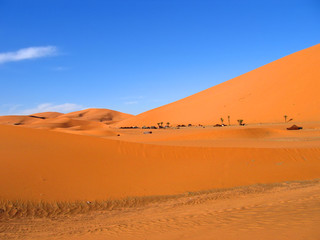 Fototapeta na wymiar czerwony i brązowy wydmy, Erg Chebbi, Merzouga, Maroko