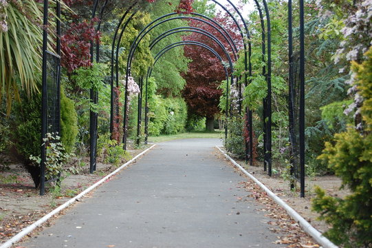 Flower Archway 3