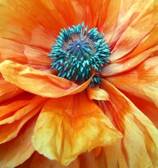 Zelfklevend Fotobehang oranje droom © Anchels