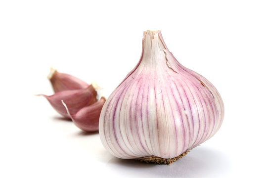 garlic over a white background