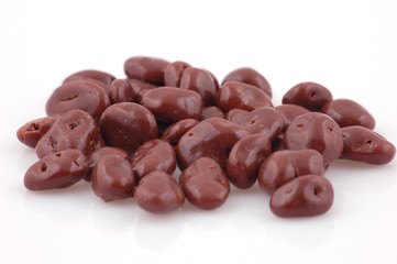 raisin in chocolate