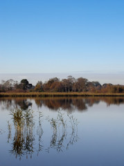 reflections on an lake