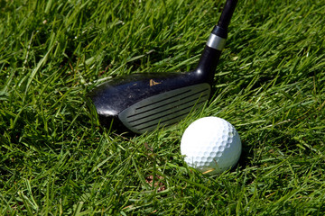golf club and ball