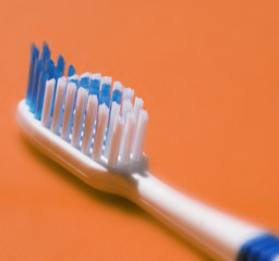 bristles on a toothbrush