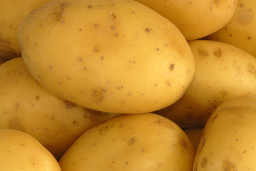 pomme de terre charlotte