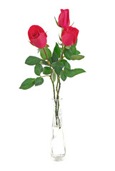 decorative red roses