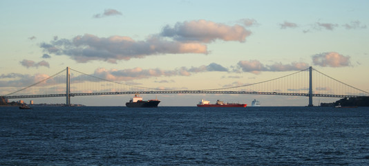 verrazano-narrows bridge new york
