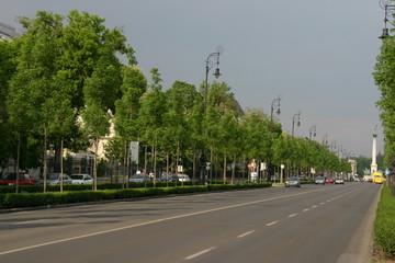 budapest main street