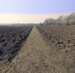 bidford upon avon warwickshire ploughed field