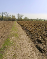 bidford upon avon warwickshire ploughed field