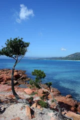 Fototapete Palombaggia Strand, Korsika Korsika
