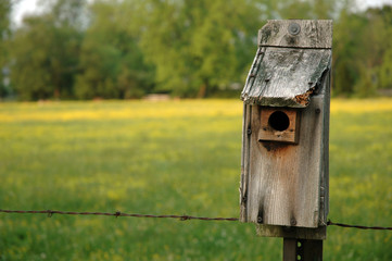 bird box and pasture