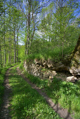 chemin de campagne