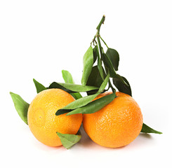 two tangerines
