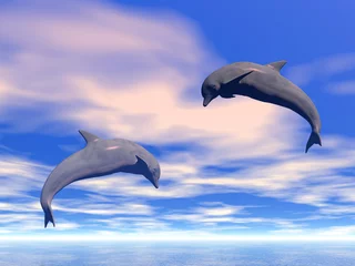 Zelfklevend Fotobehang dolfijnen © Sergey Tokarev