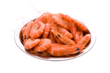 prawns