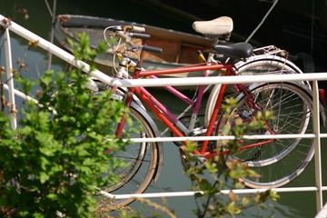 Fototapeta na wymiar vélos