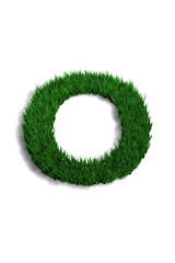lettre o pelouse
