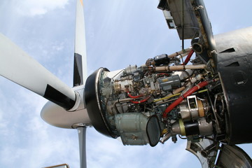 &agrave; coeur ouvert