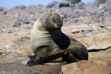 Obraz premium namibia