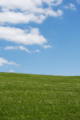 Himmel mit Wolken und  unten eine Wiese im Sommer