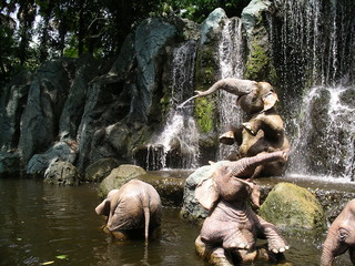Fototapeta na wymiar Słonie w kąpieliskach