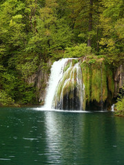 Obraz na płótnie Canvas piękny wodospad las