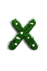 lettre x pelouse fleurie