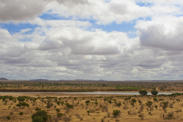 Fototapeta na wymiar tsavo national park, kenya