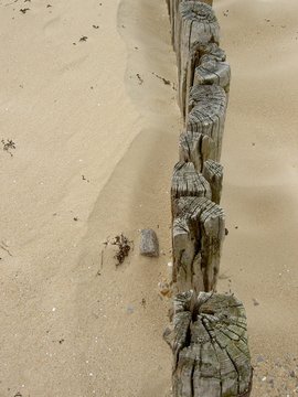 piquet de bois sur la plade