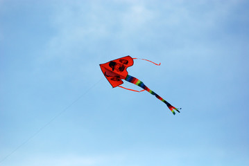 colorful kite flying in the skies