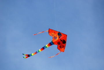 colorful kite flying in the skies