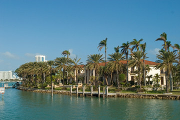 mansion with palms from the side
