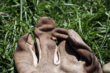 guanto da giardinaggio - garden gloves