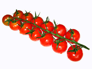 tomate fraîcheur