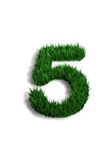 chiffre 5 pelouse