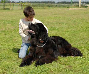 fillette et chien géant