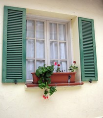 window