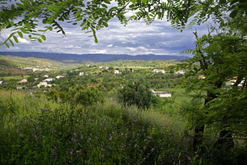 green countryside