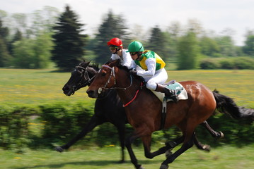 a scene of a horse race