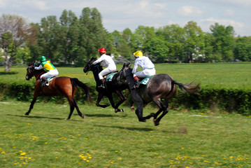 a scene of a horse race