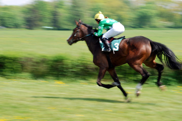 a scene of a horse race