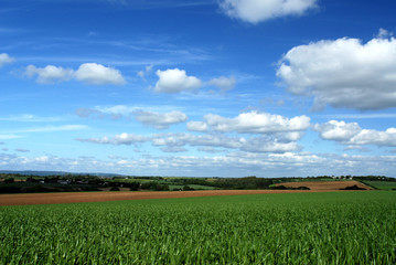 montagnes noire a l'horizon