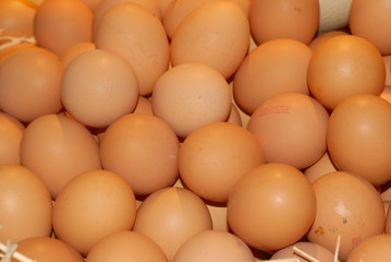 oeufs au marché de barcelone