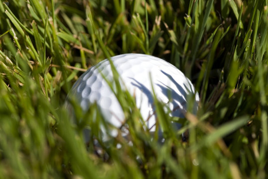 Golf Ball In The Rough