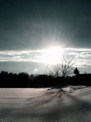 winter sun