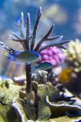 acqua © fotografiche.eu