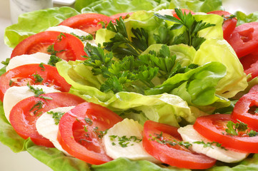salad - mozzarella and vegetables